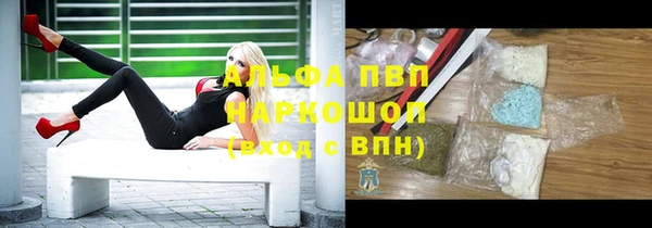 тгк Новокубанск