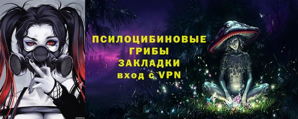 а пвп мука Новозыбков