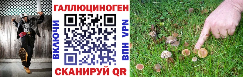 Галлюциногенные грибы Cubensis  Купить  Киров 